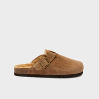 OLIVIER F NEW