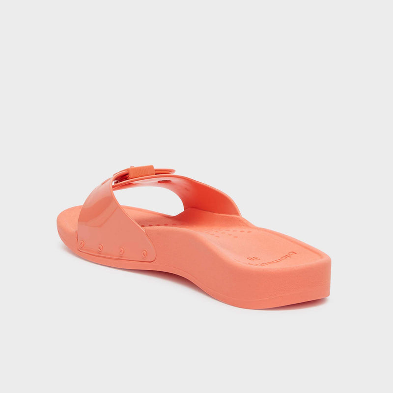 Scholl Sun