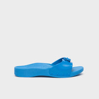 Scholl Sun