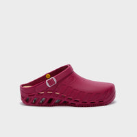 CLOG EVO