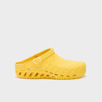 CLOG EVO