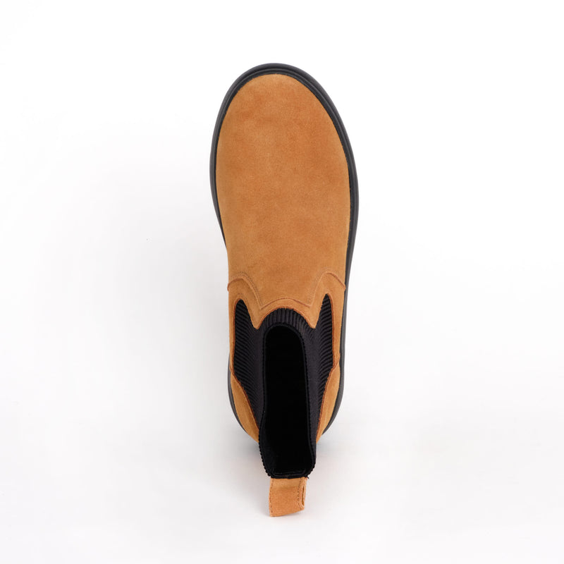 ASPEN ELASTIC - Suede - Cognac - 