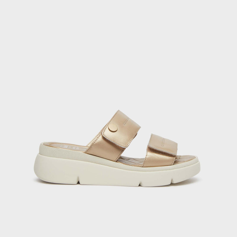 Bali 2 Straps 25
