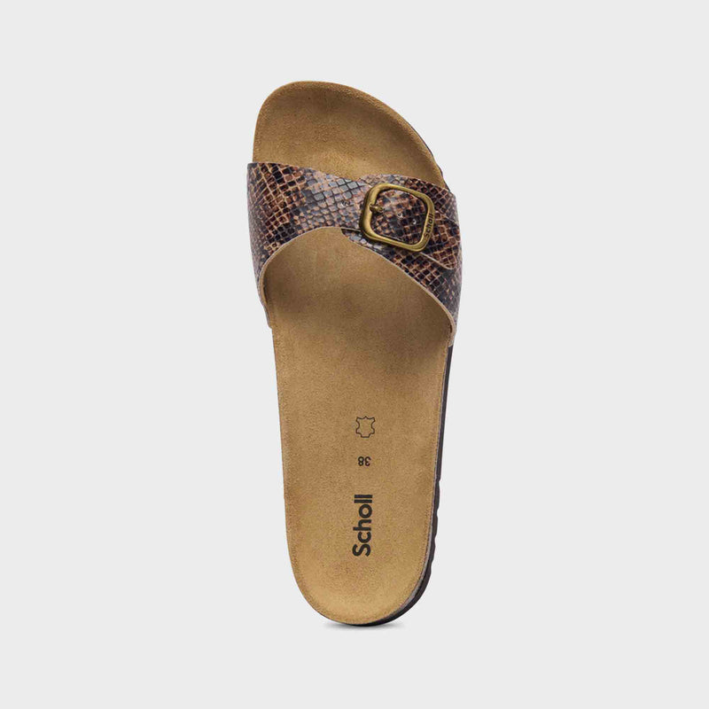 Estelle - Synthetic python - Brown - Women