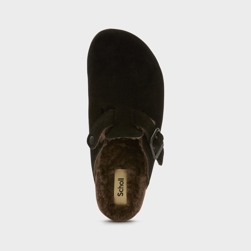 OLIVIER F NEW