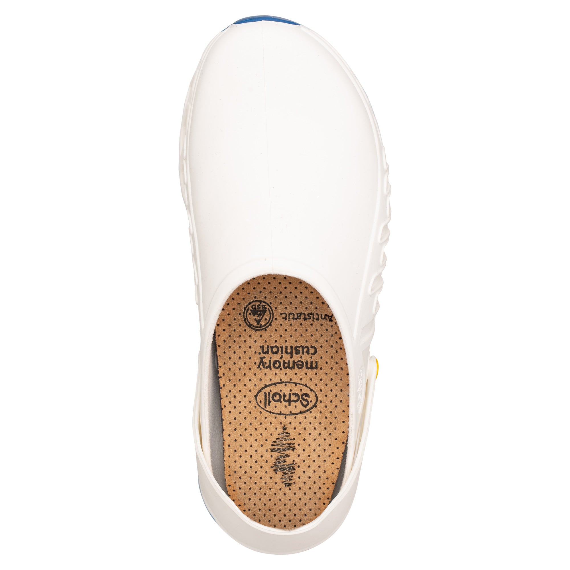 Zoccoli dr discount scholl clog evo
